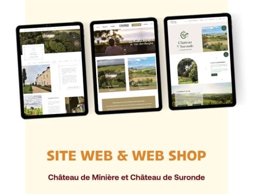 Château de Minière & Château de Suronde