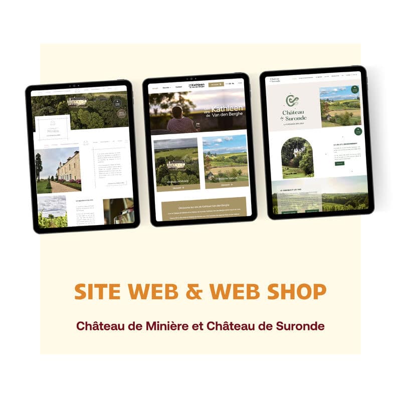 Château de Minière et de Suronde - 2025 - Webdesign - Matthieu Loigerot